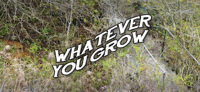 whateveryougrow