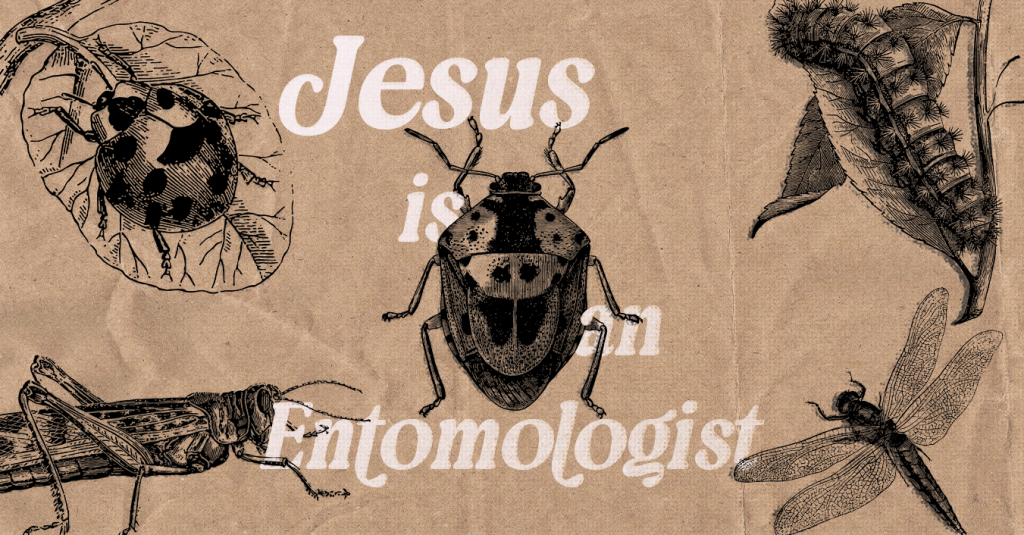 paper background with black illustrations of insects. Text that reads: Jesus is an Entomologist  
